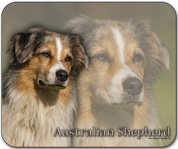 Mousepad Australian Shepherd